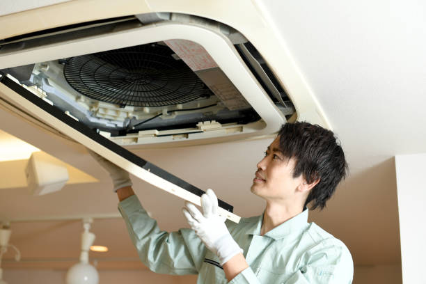 Best Ductwork Cleaning Services  in Westland, MI