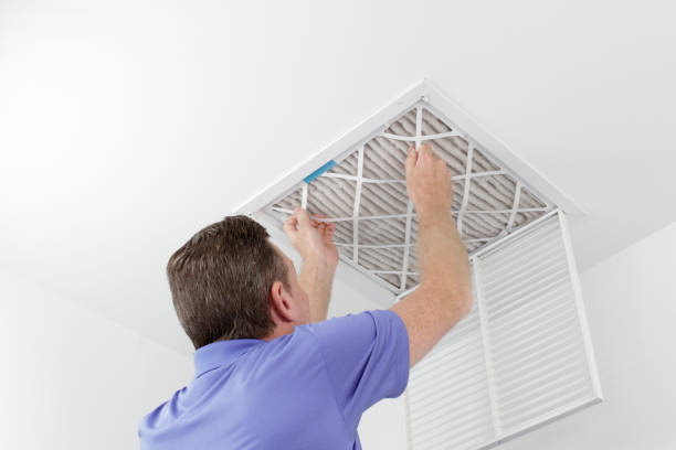 Best Affordable HVAC Duct Cleaning  in Westland, MI
